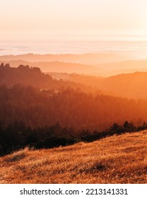 Sunset View From Borel Hill, In The Santa Cruz Mountains, Los Gatos, California