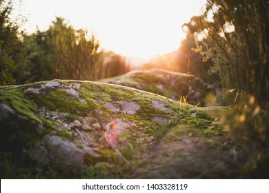 sunset view in the countryside on a rock - Shutterstock ID 1403328119