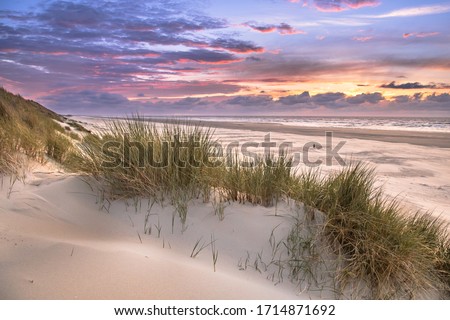 Similar – Image, Stock Photo Path into the Wadden Sea near Westerhever