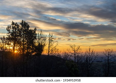 Sunset view at dusk time, trees and cloudy