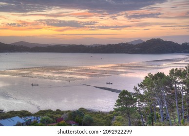 Sunset view of a fish farm near coromandel town at New Zealand