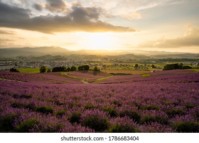 Sunset View At Hinode Park In Kamifurano Hokkaido, Japan