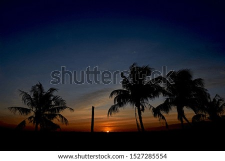 Similar – Image, Stock Photo twilight Lifestyle