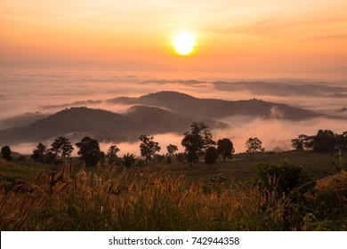 Sunset View Mountain