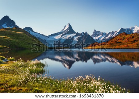 Sunset view on Bernese range above Bachalpsee lake. Highest peaks Eiger, Jungfrau and Faulhorn in famous location. Switzerland alps, Grindelwald valley