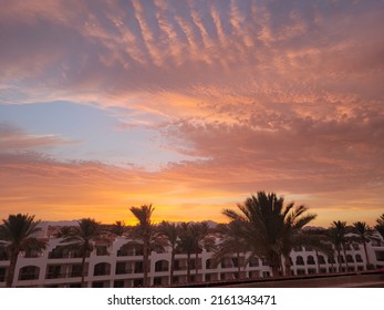 Sunset with the view of palm trees