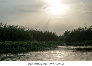 Sunset view of river marshlands. Cloudy sky on the lake. Sunrise Morning sky. sun setting above Tungabhadra river. Boating in the backwaters. Scenic swamps in national park at golden hour. - Powered by Shutterstock