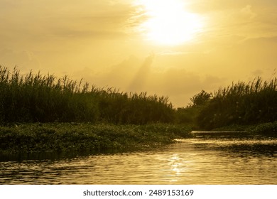 Sunset view of river marshlands. Yellow sky on the lake. Sunrise Morning sky. sun setting above Tungabhadra river. Boating in the backwaters. Scenic swamps in national park at golden hour. - Powered by Shutterstock