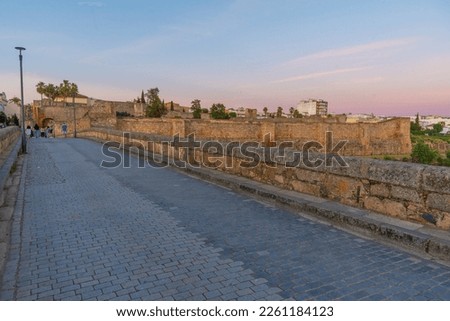 Sunset view of roman bridge over river Guadiana leading to Alcazaba fortress in Merida, Spain