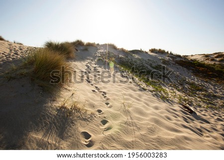 Sunset view of sand dunes along the coast of Oxnard, California, USA.