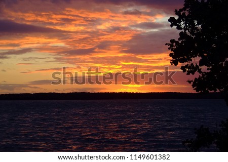 A sunset view as sun goes down behind the shade of trees over the lake. A perfect scene at the end of the day while you are relax, sitting at your patio watching a peaceful sky and birds flying home
