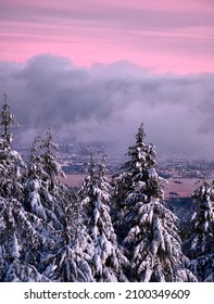 Sunset View Of Vancouver Through Snowy Trees. View From Cypress Mountain Ski Area In Winter. British Columbia. Canada