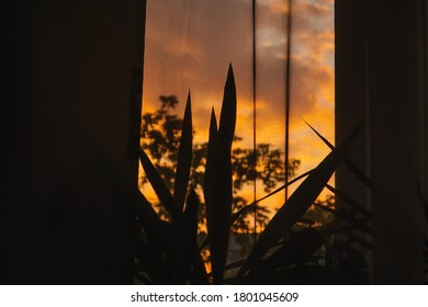 Sunset view from window apartment                              