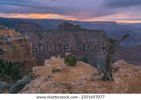 Sunset viewed from Moran Point in Grand Canyon National Park. A gnarled, almost-dead juniper sits in the foreground. Coronado Butte is in the middle, the Sinking Ship rock formation in the upper left.