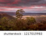 Sunset and views from the clifftops looking out into Hartley valley and beyond to Mt Victoria and Blue Mountains escarpment. A fine speciment gum tree stands tall above all other bushland