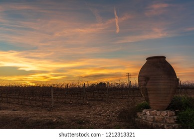 Sunset In The Vineyards Of The Penedès Region, Catalonia, Spain