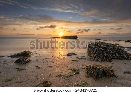 Similar – Image, Stock Photo On the Wadden Sea