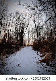 Sunset walking down a snowy path.