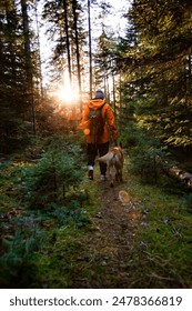 Sunset walking into the forest 