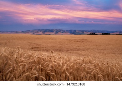 Sunset In Walla Walla Washington