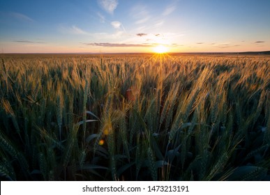 Sunset In Walla Walla Washington