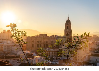 Sunset from the walls of the Alcazaba of the city of Malaga and in the background the Cathedral of the Incarnation of Malaga, Andalusia. Spain. Medieval fortress in arabic style
