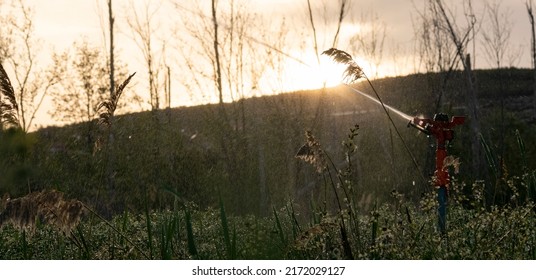 Sunset And Water Spray Shot With Selective Focus.