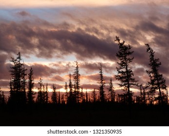 Sunset In The West Siberian Tundra In Russia