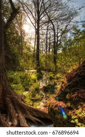 Sunset At Westcave Preserve