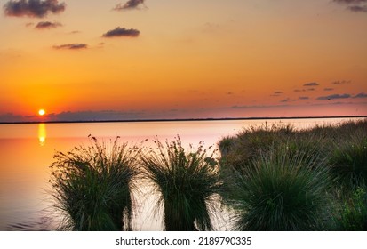 Sunset of wetlands and bird habitats in Samsun Turkey on the Kizilirmak river.	 - Powered by Shutterstock