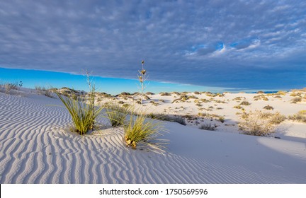 White sands national park Images, Stock Photos & Vectors | Shutterstock