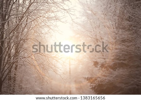 Similar – Foto Bild Wintersonne Natur