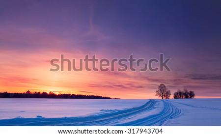 Sunset winter landscape with snow-covered road in violet and pink colors