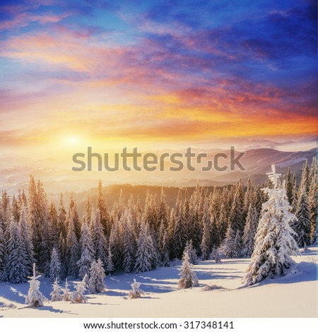 sunset in the winter mountains