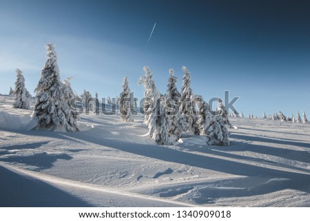 Similar – Image, Stock Photo Evening impression on the mountain