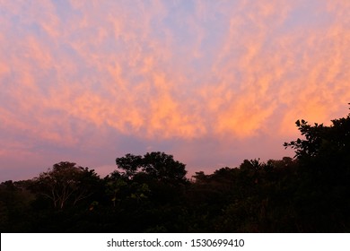 Sunset At Yasuni National Park, Ecuador