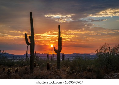 Sunsets In The McDowell Mountains