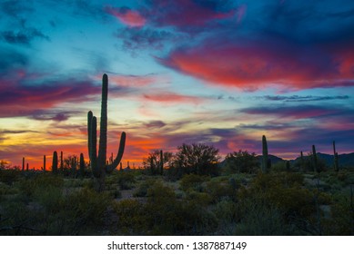 Sunsets in Saguaro National Park, AZ