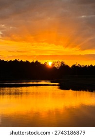Sunsetting over the trees reflecting off the water in a retention pond. Stunning golden hour sky and silhouette of trees. 