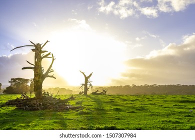 Sunshine After Storm Over Meadow In Australia