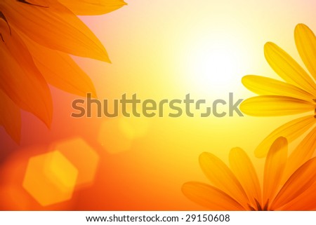 Sunshine background with sunflower details.