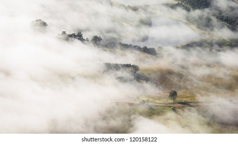 Sunshine Coast Hinterland