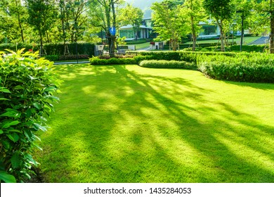 The sunshine in the evening shines through the trees down to the lawn of the front of the house beautifully, Green lawn, Front lawn for the background, Designed a beautiful shady landscape garden.