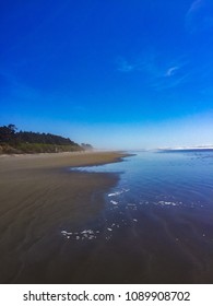 Sunshine At Kalaloch Beach