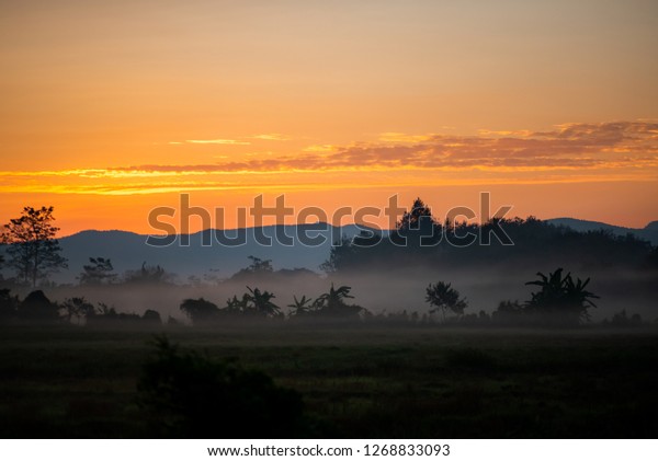 Sunshine Morning Mist That Comes Cold Stock Photo Edit Now