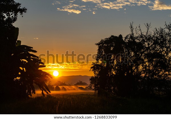 Sunshine Morning Mist That Comes Cold Stock Photo Edit Now