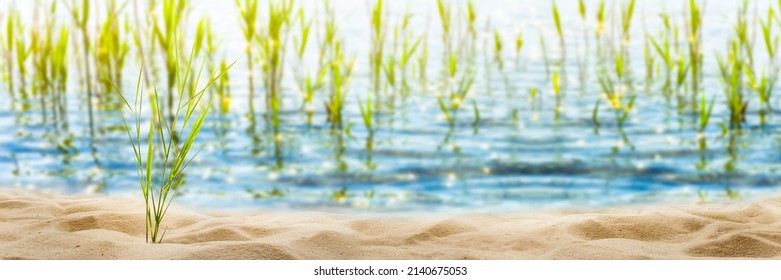 sunshine on beautiful empty sand beach lakeside on a summer day, blurred water background with grasses and sunlight, recreation in nature concept with copy space - Shutterstock ID 2140675053