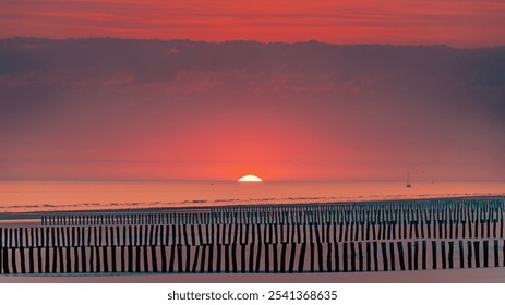 Sunshine on Sangatte beach. Anti-erosion wooden piles to retain sand on the edge of the English Channel on the Opal Coast. Calais, nord of France. - Powered by Shutterstock