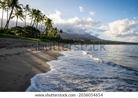 Sunshine peers through lush green palm trees as the surf calmly rolls in and out early morning on Ka'anapali Beach in Lahaina, Maui, Hawaii. 