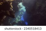 Sunshine penetrate the underwater coral cave and illuminate it. Tropical fish swim inside coral caves in the sunrays penetrating from the surface, Red sea, Egypt